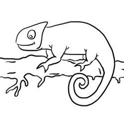 Coloriage et dessin Caméléon à imprimer