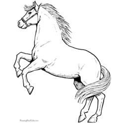 Coloriage et dessin Cheval à imprimer