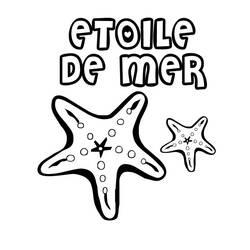 Coloriage et dessin Étoile de mer à imprimer