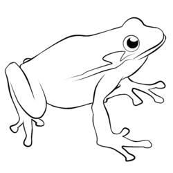 Coloriage et dessin Grenouille à imprimer