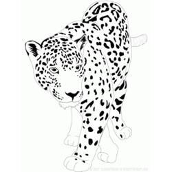 Coloriage et dessin Jaguar à imprimer